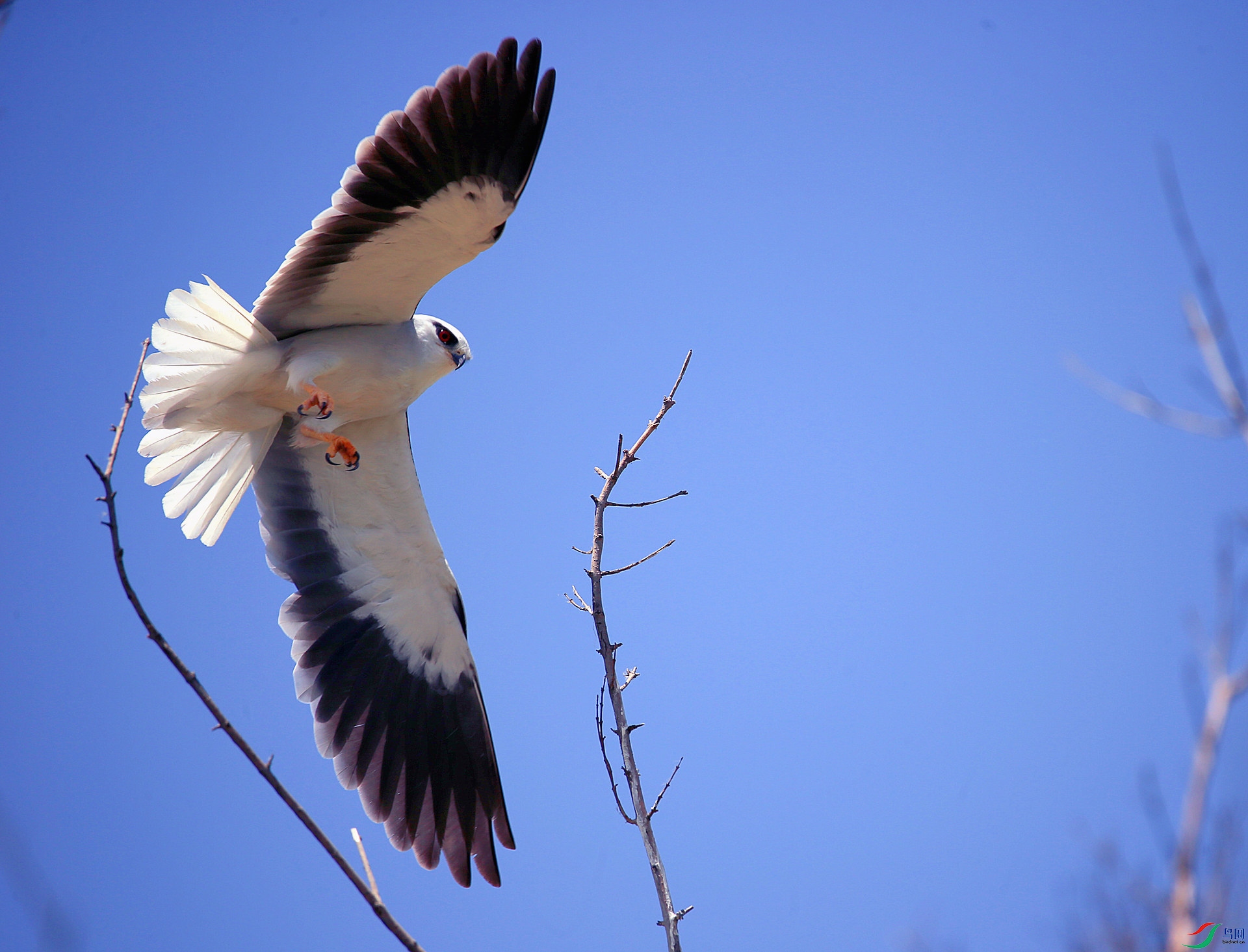 DB4W2089_����.jpg
