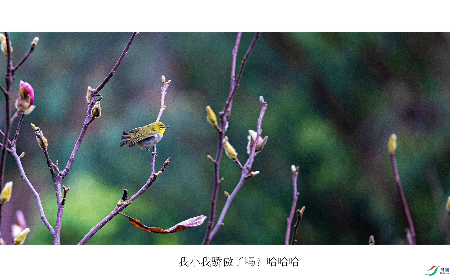 DSC03669_����.jpg