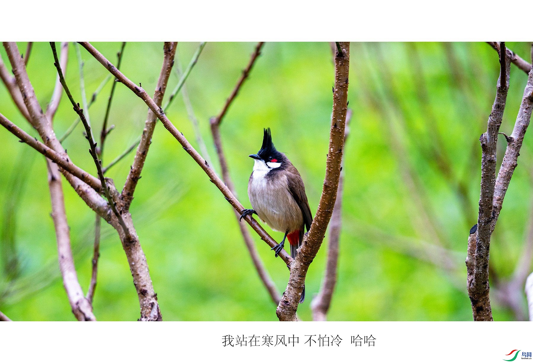 DSC03655_����.jpg