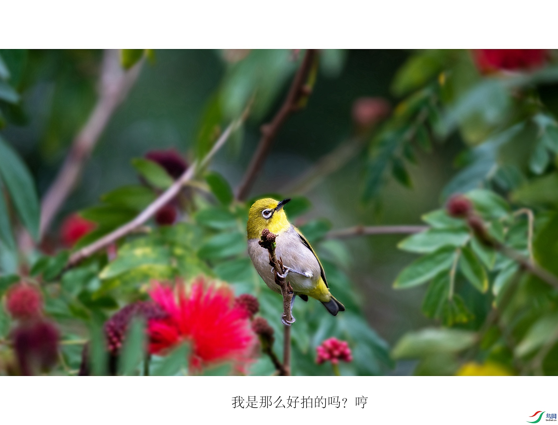 DSC03774_����.jpg