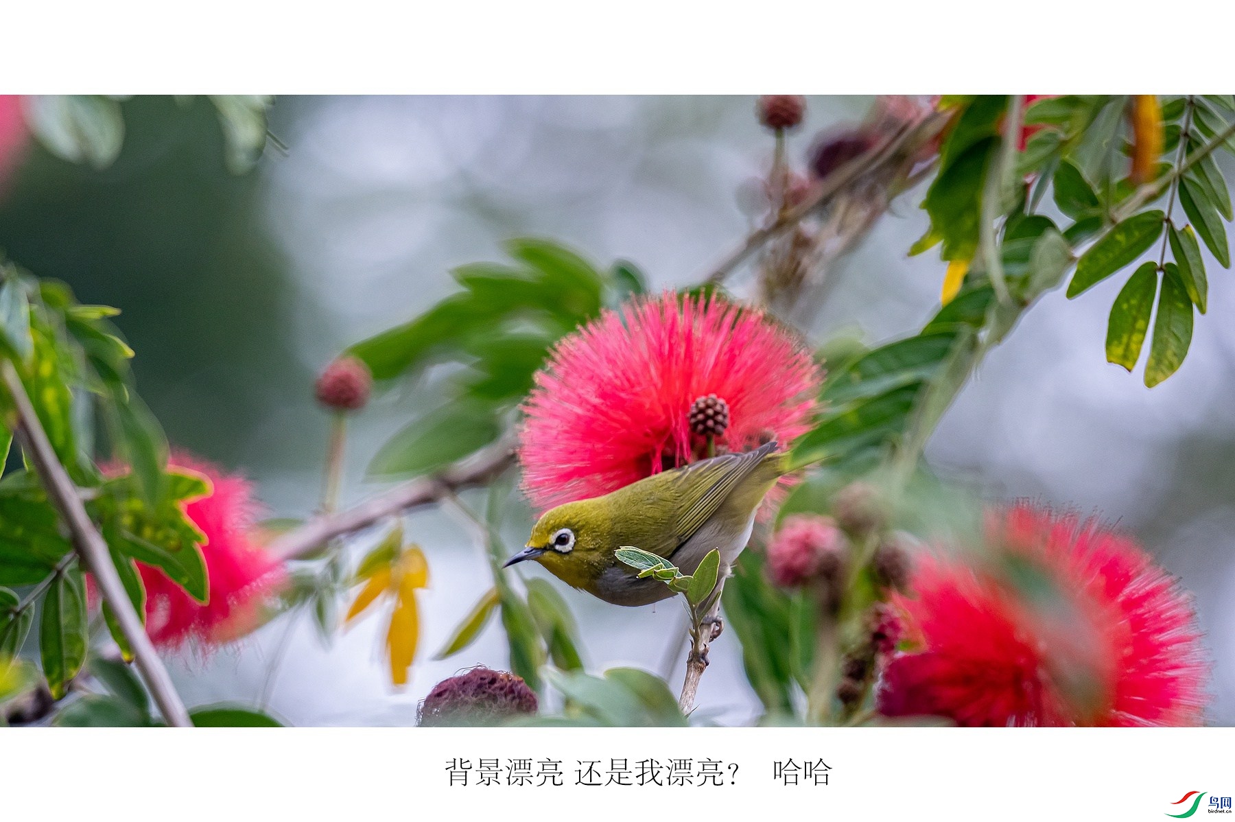 DSC03797_����.jpg