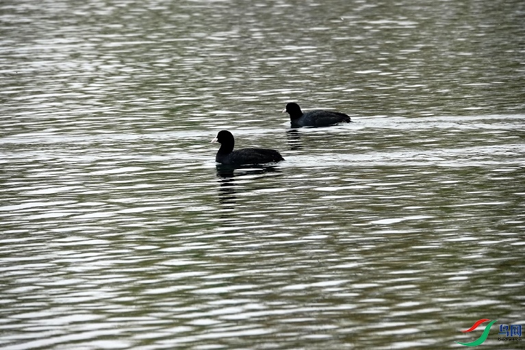 DSC03619.JPG