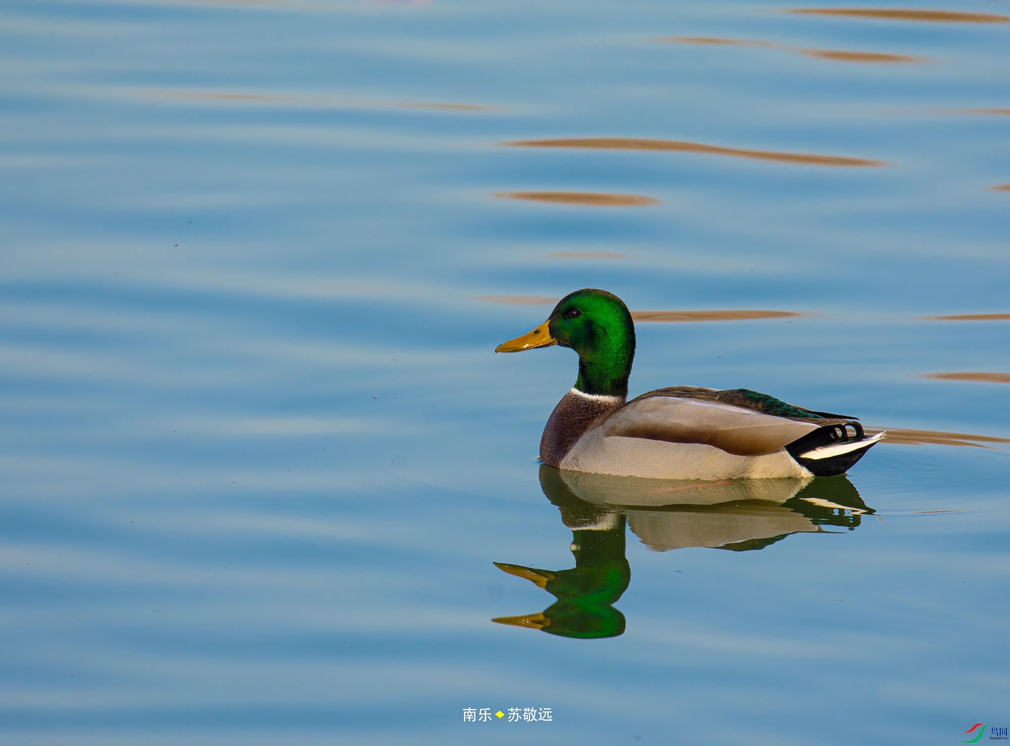 _DSC3257С.jpg