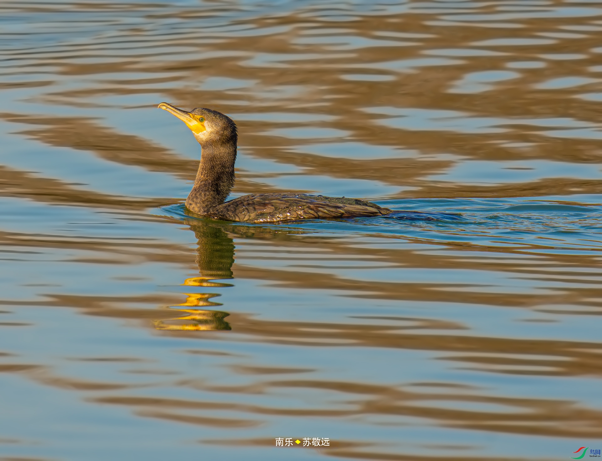 _DSC3283С.jpg