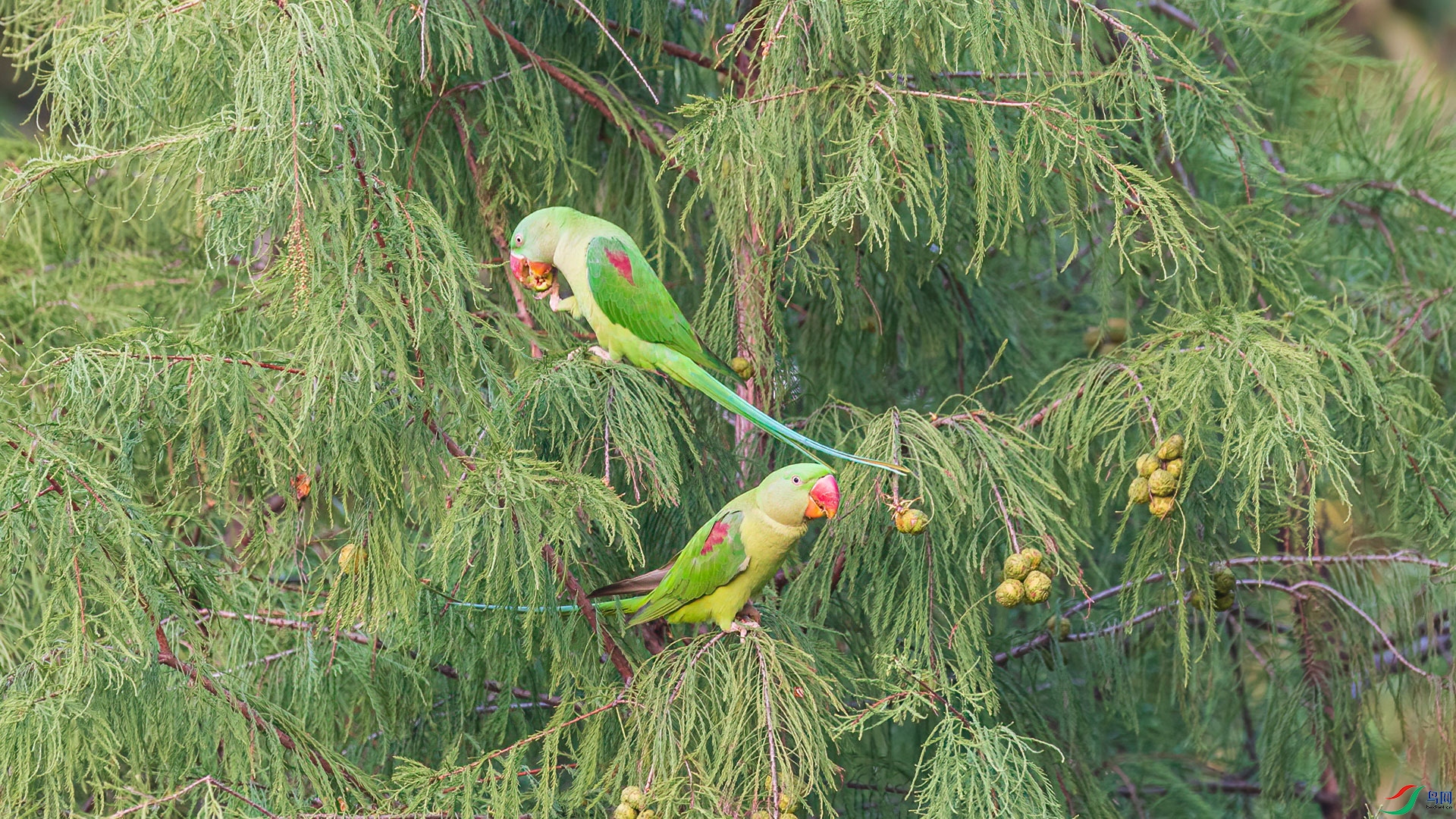 DSC_1492.jpg