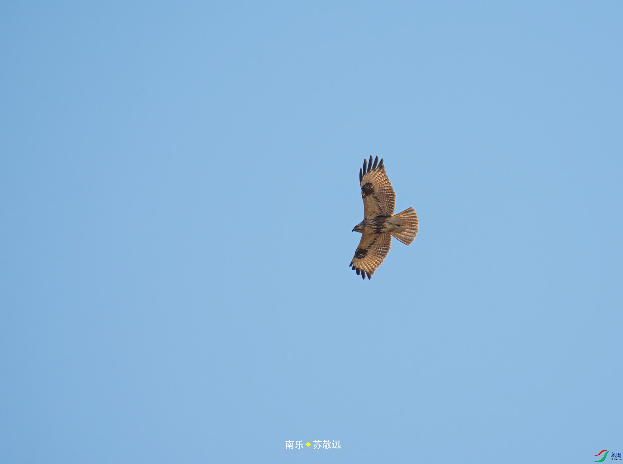 _DSC3216С.jpg