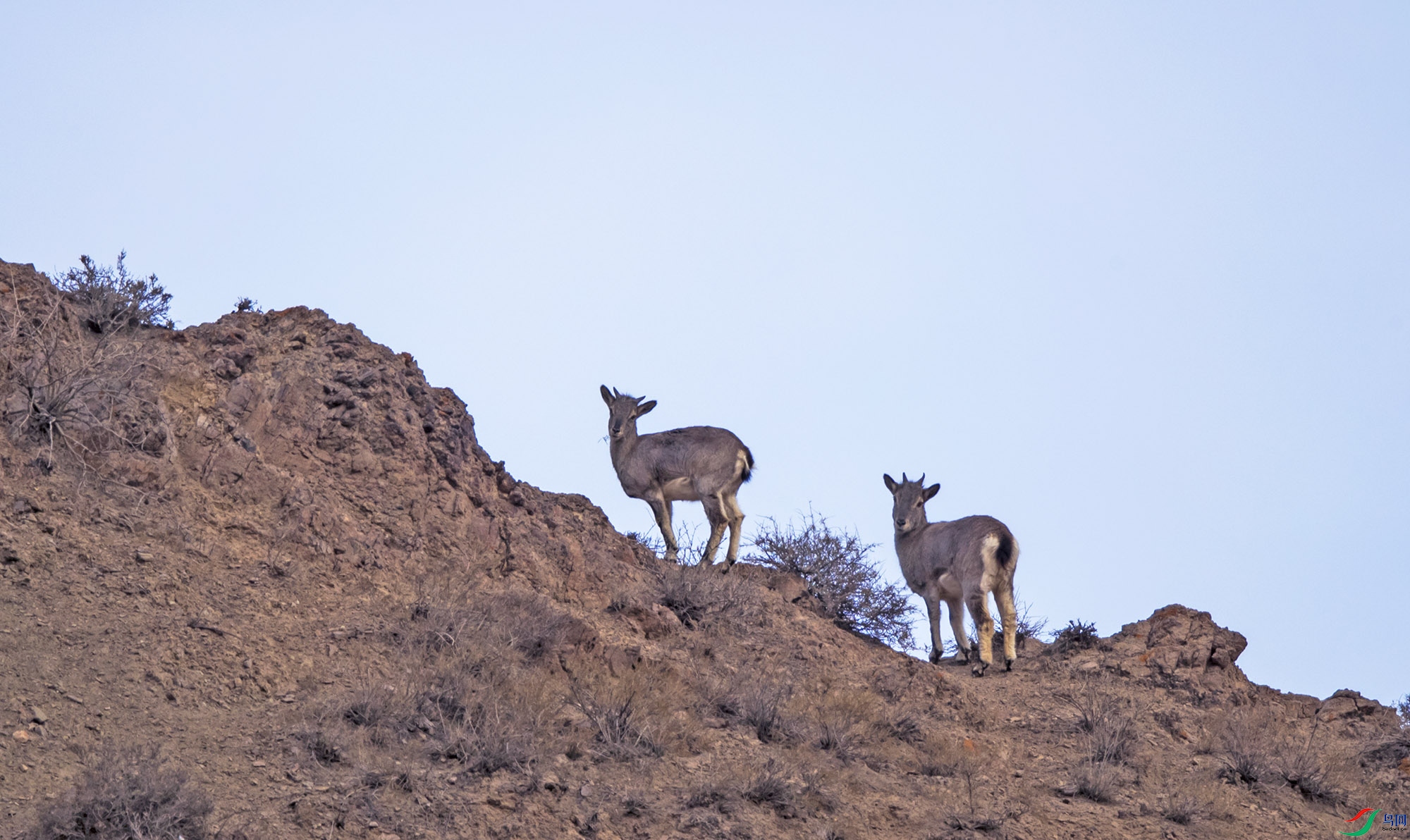 AA7I0615-.jpg