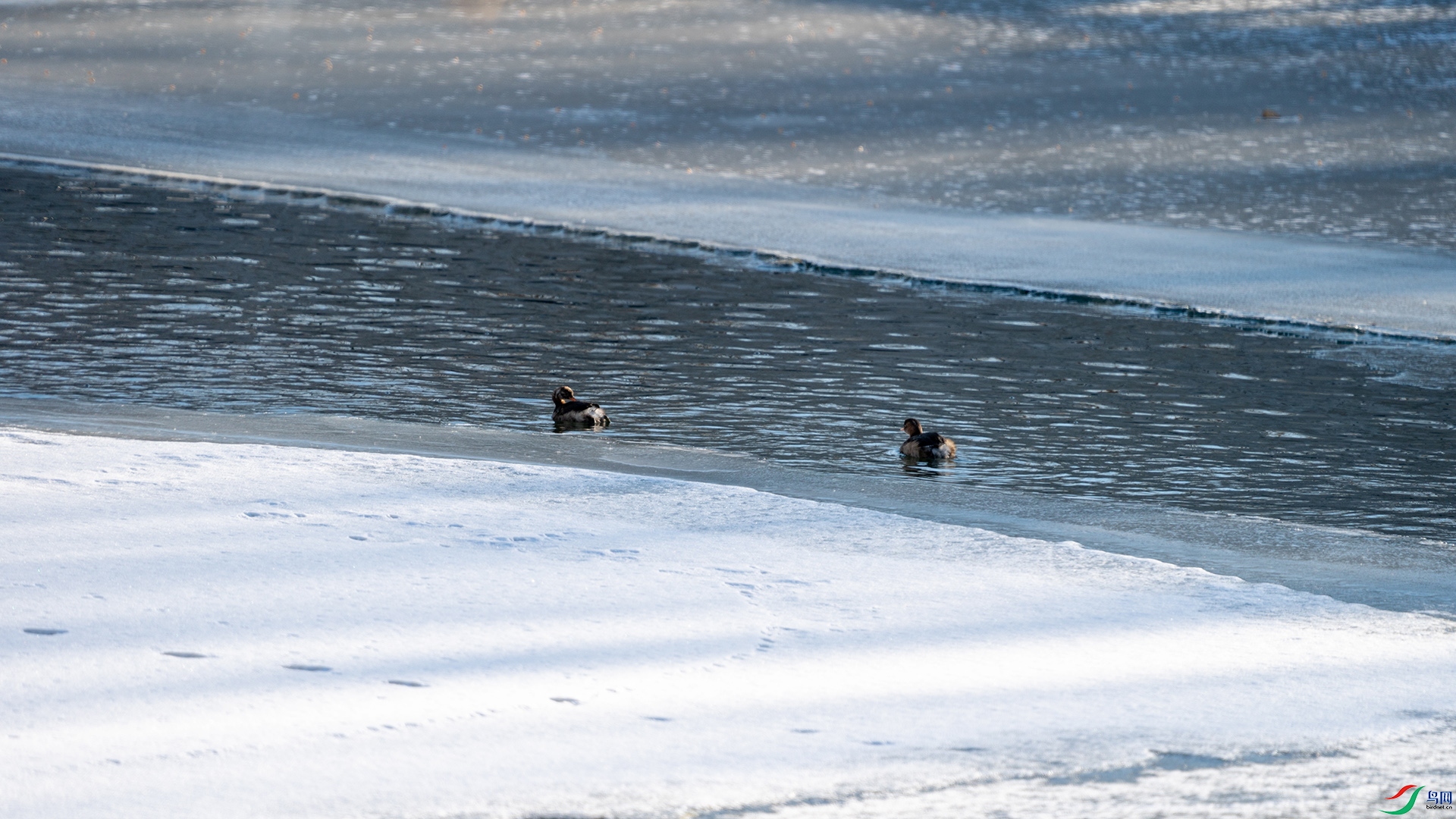 DSC01155-1.jpg