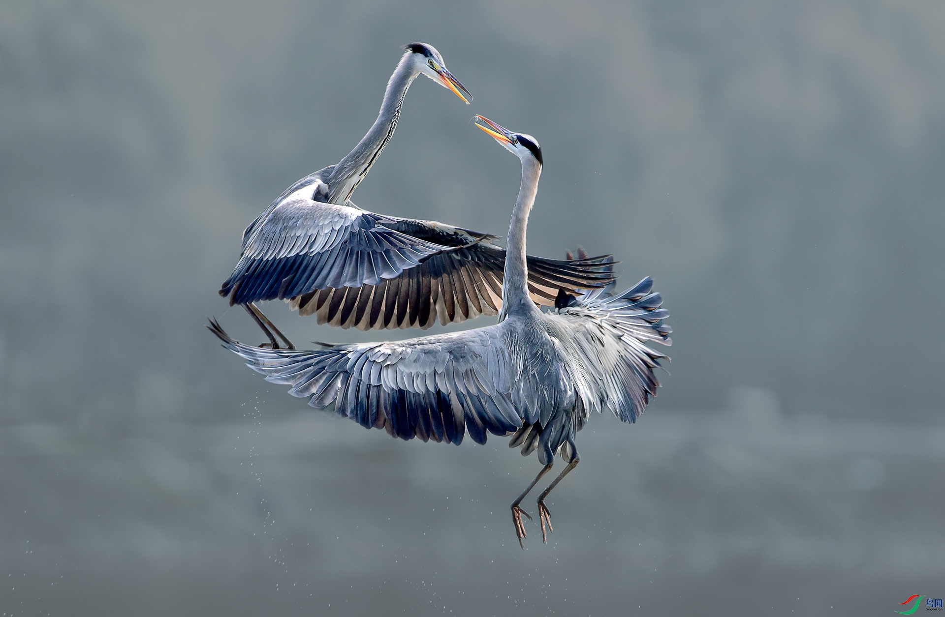 A99I7637-1a1.jpg