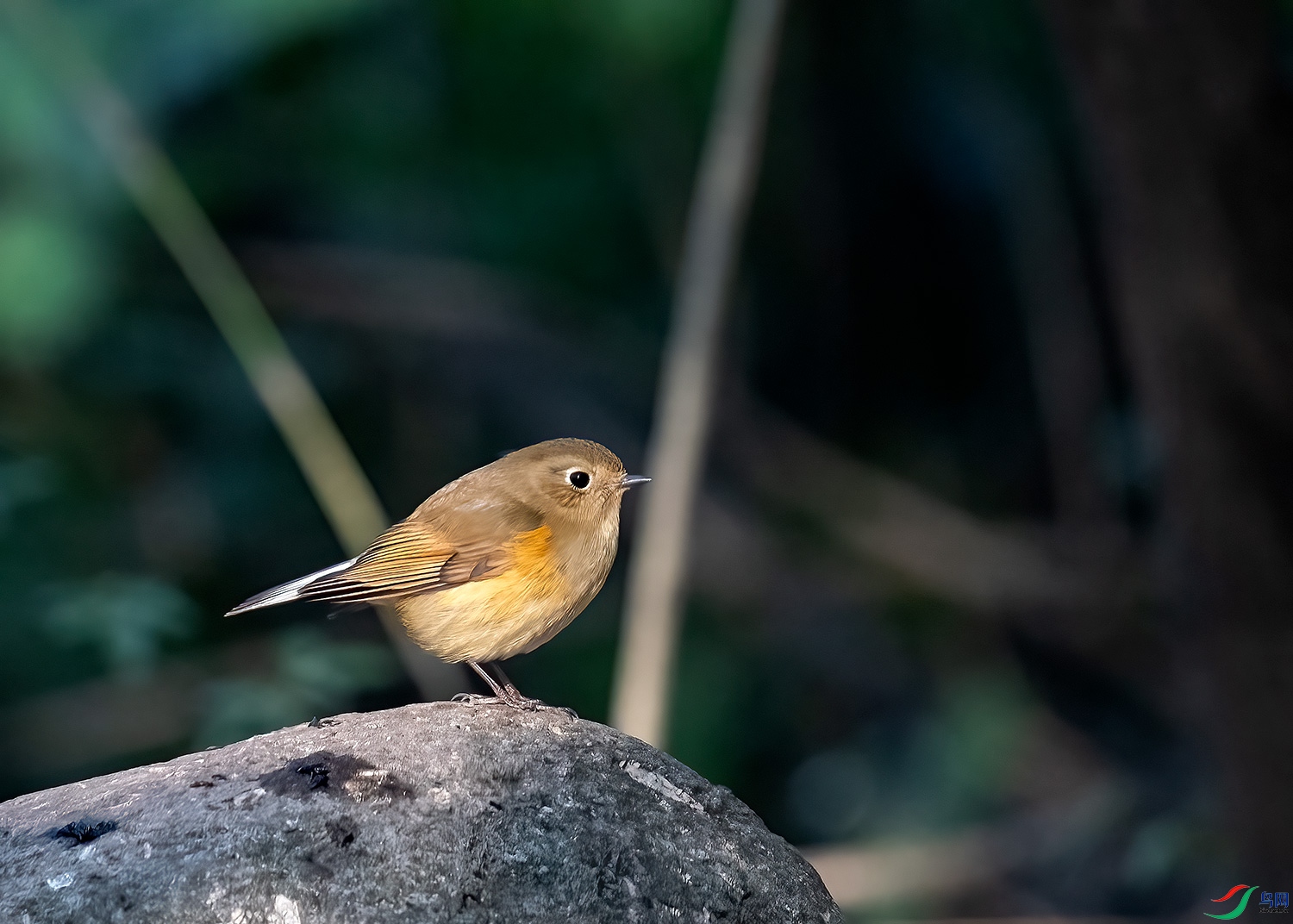 DSC_9077-2.jpg