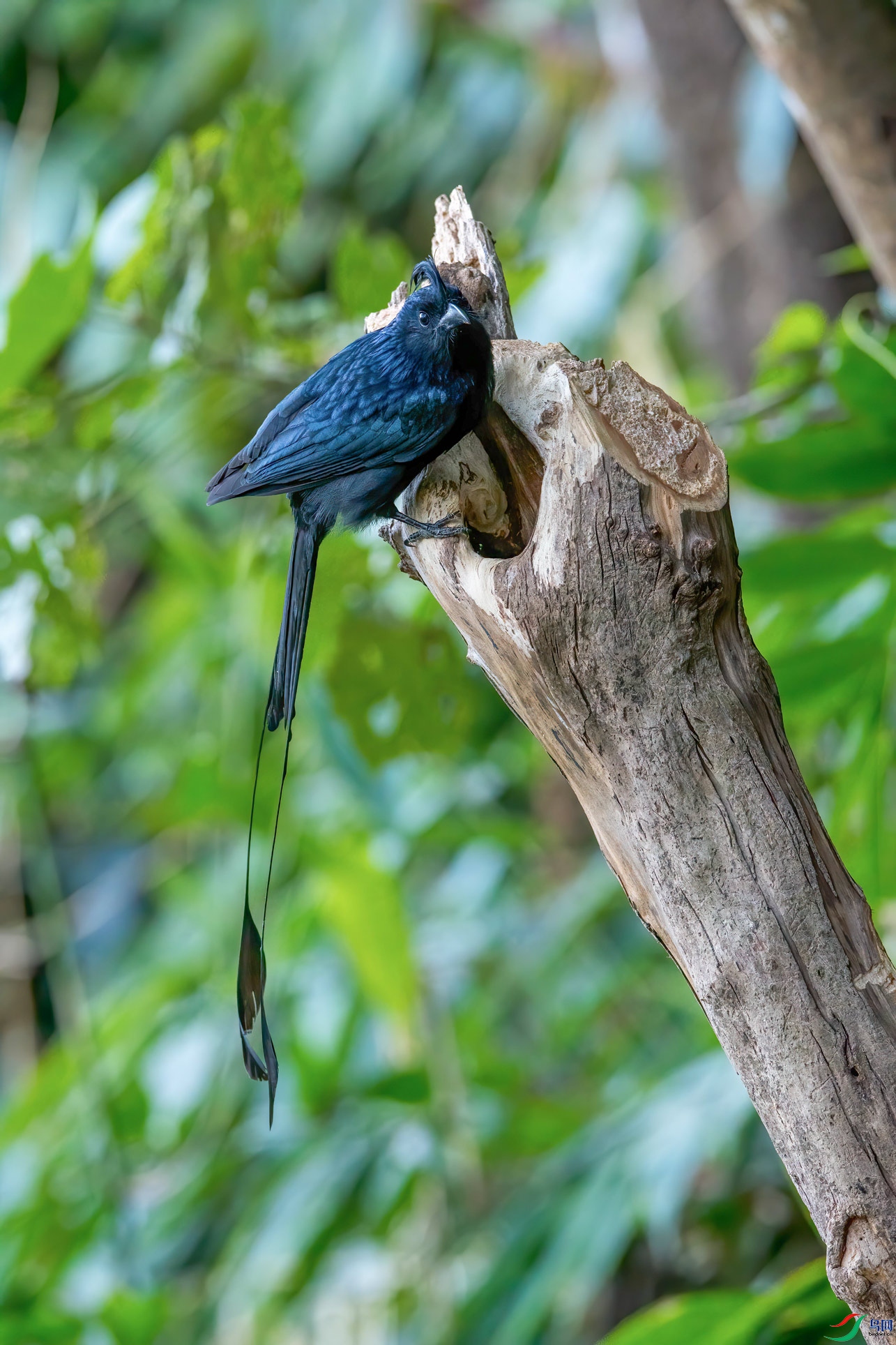 DSC_7636-1.jpg