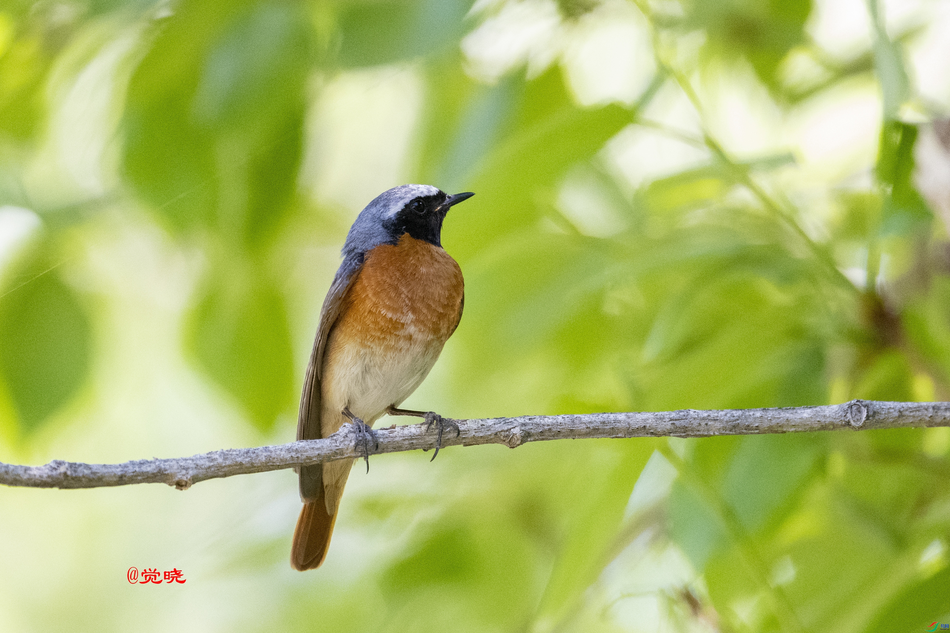 ���ž���  ��ʦ�������½�**������������̩����.jpg