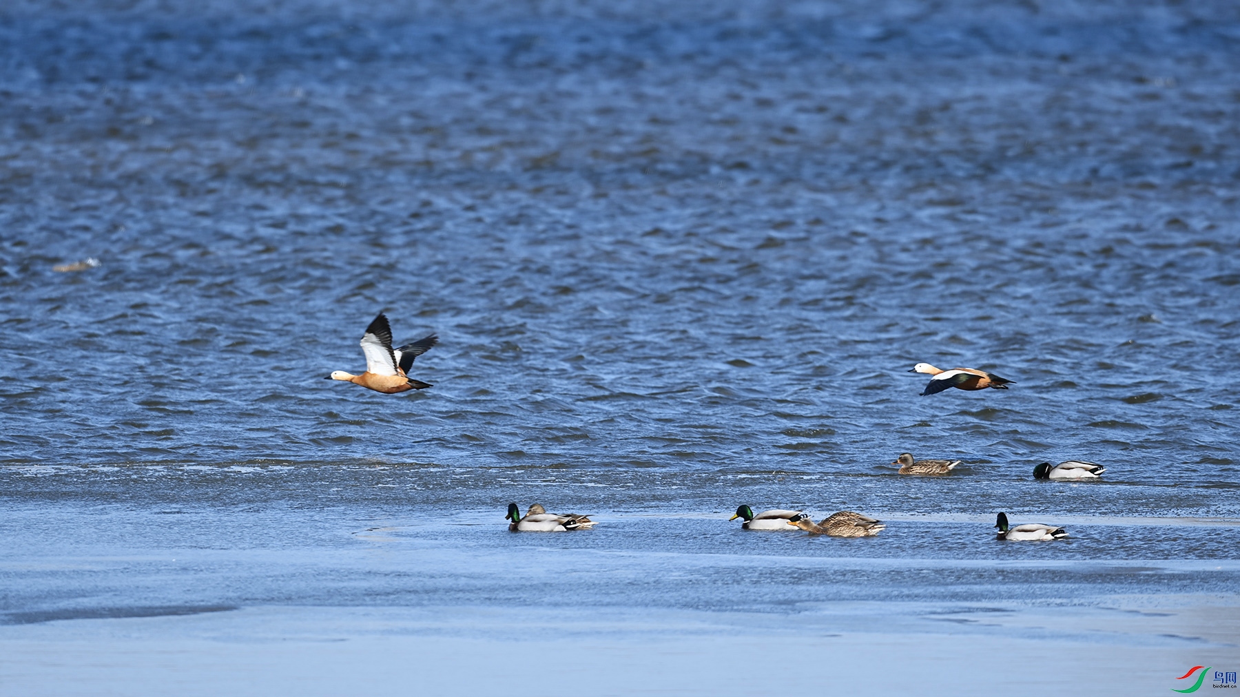 DSC_2798.jpg