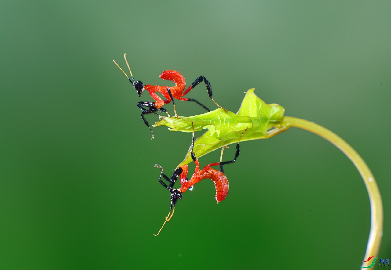 DSC_4128 ��������.jpg