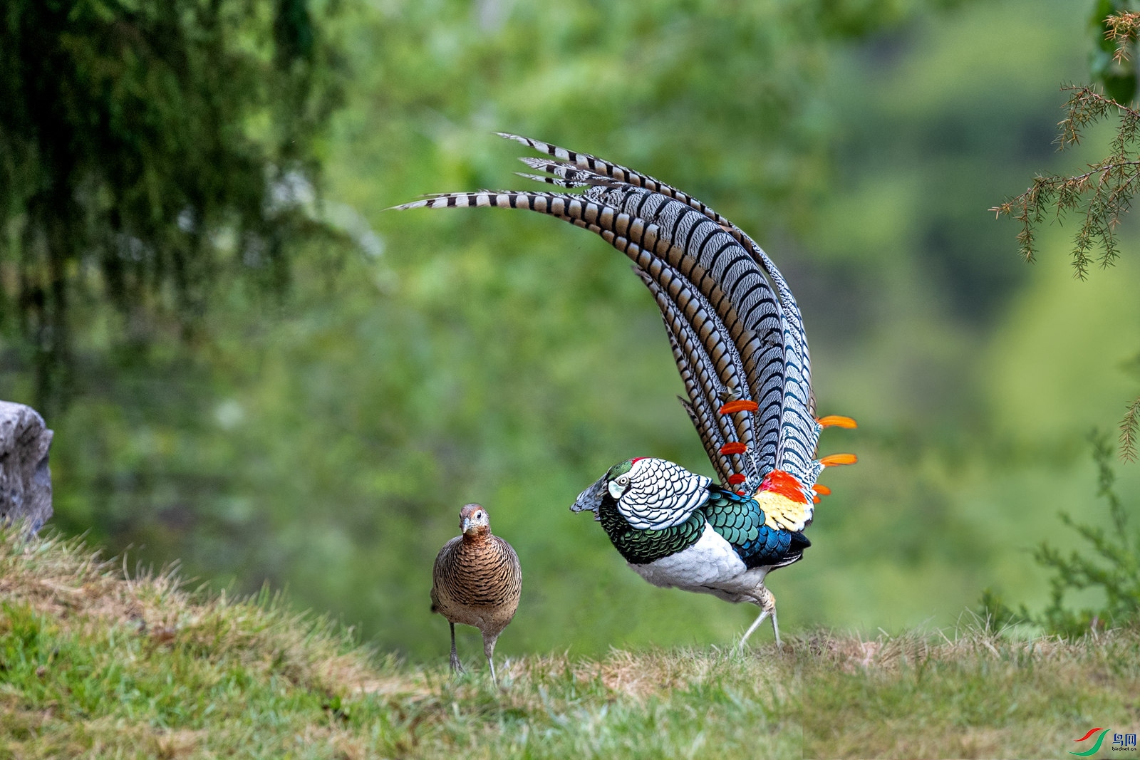 DSC_8466 ����_����.jpg