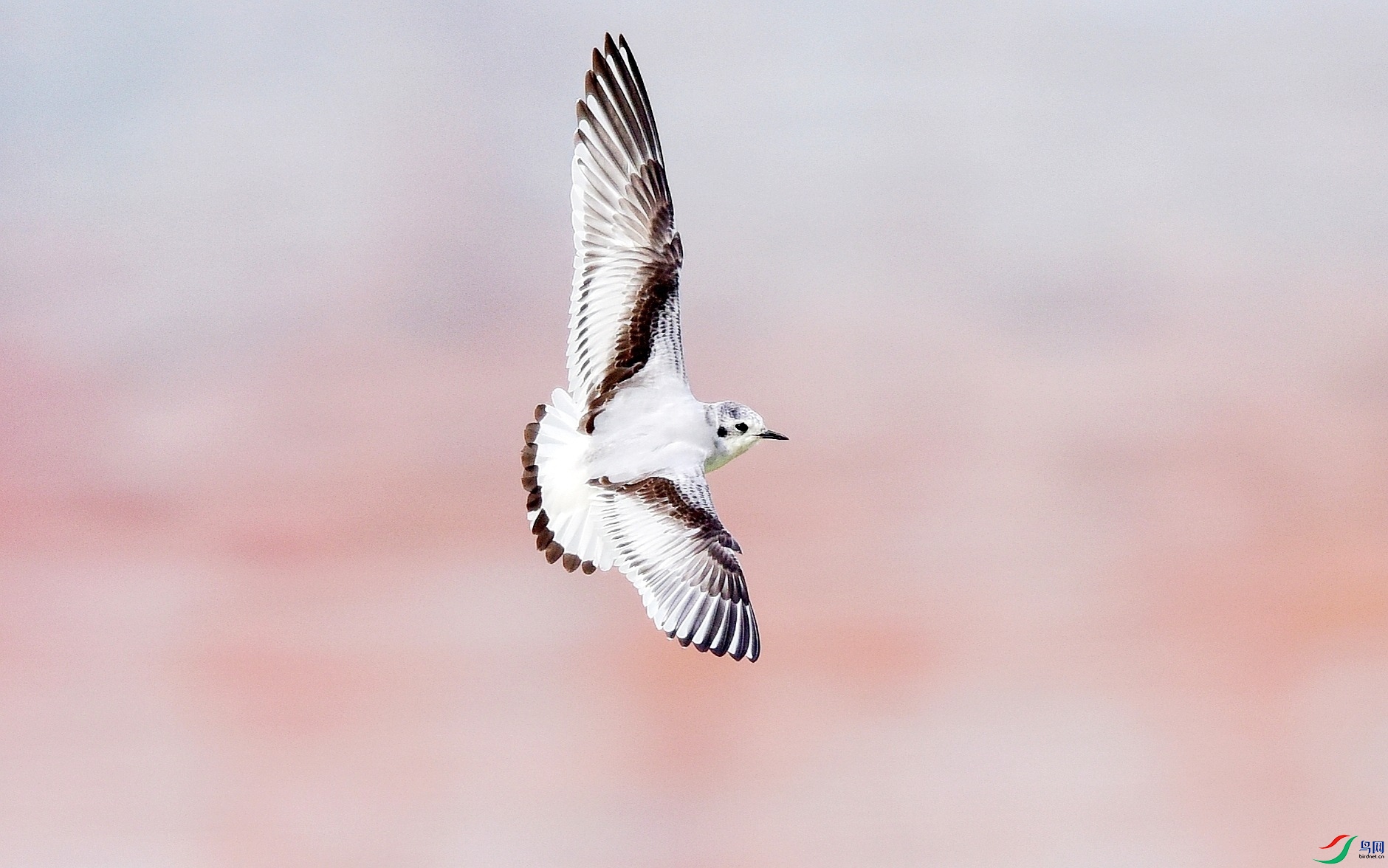 DSC_6781_conew4.jpg