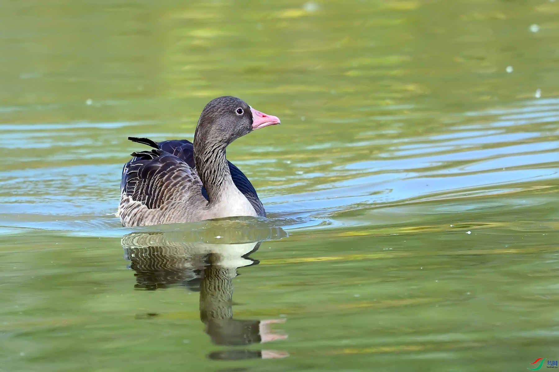 DSC_6875.jpg