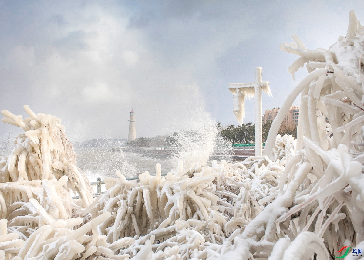 _MGL7186 �̰��˻��ɺ��������-2 ����1.jpg