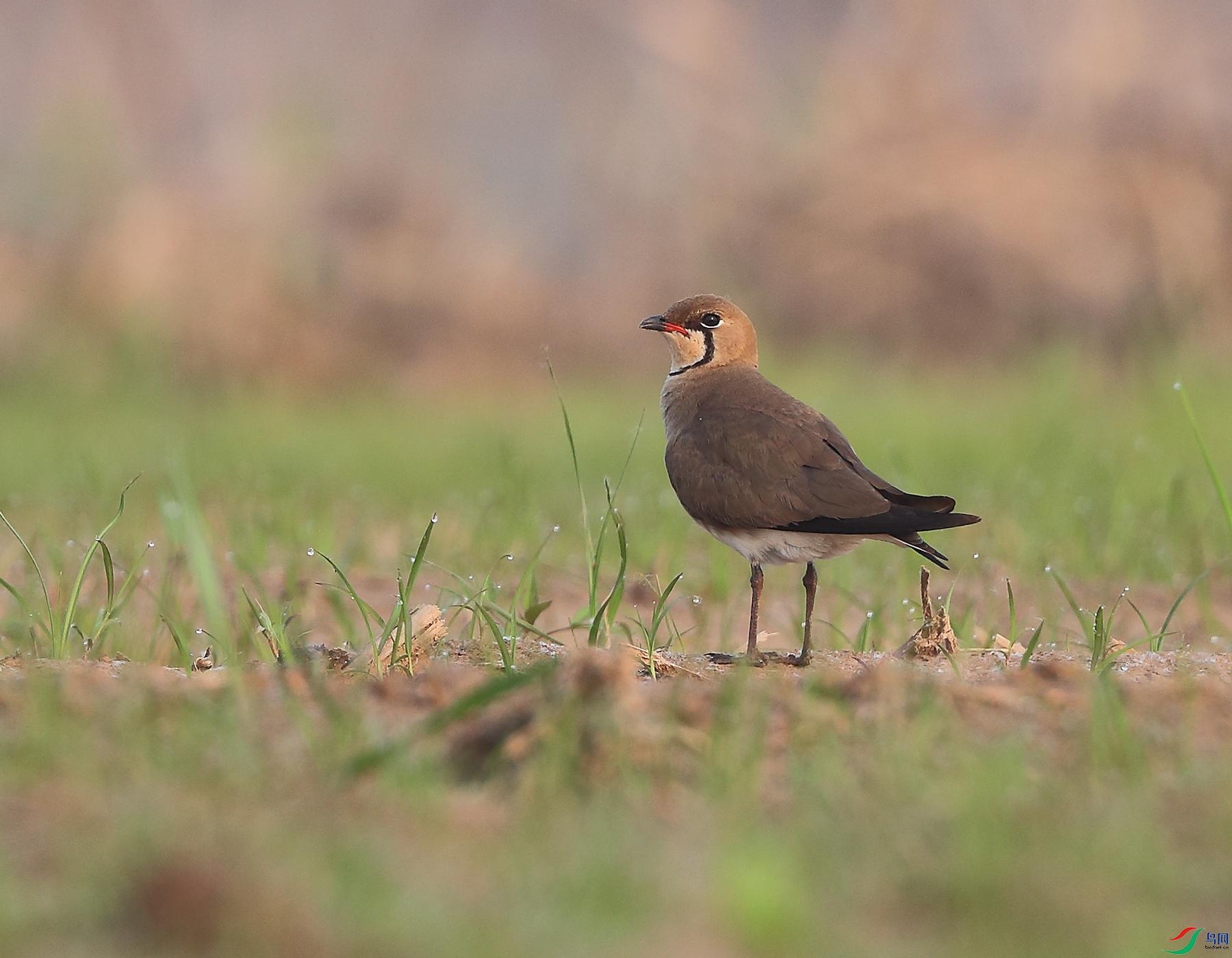 AB7I6778��ͨ���a ������׼�գ���ࣩ.JPG