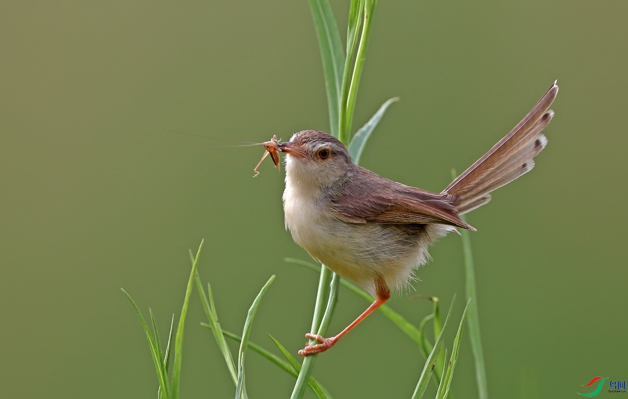 _A0C9570-.jpg