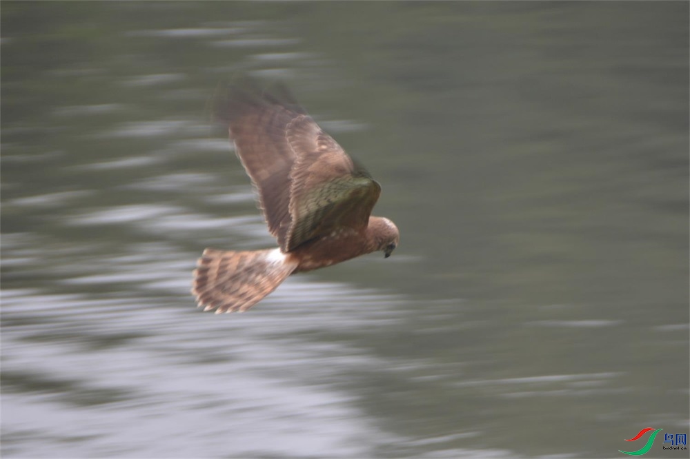 DSC_40081_��ͼ��.jpg
