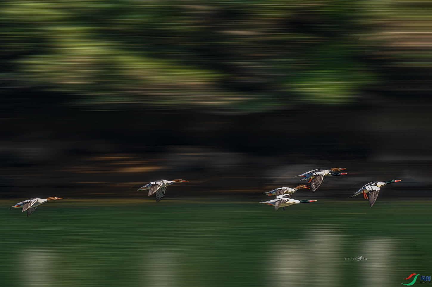 ׷�������л���ɳѼ