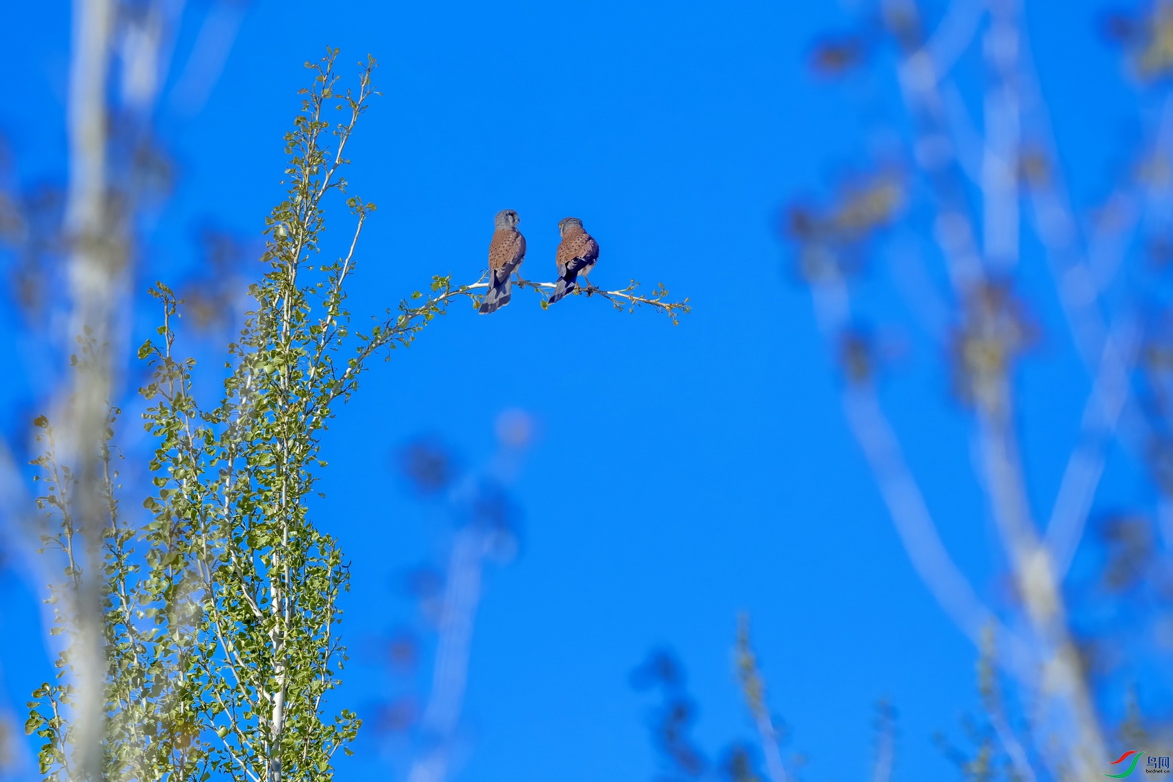 HBC_0266-2.jpg