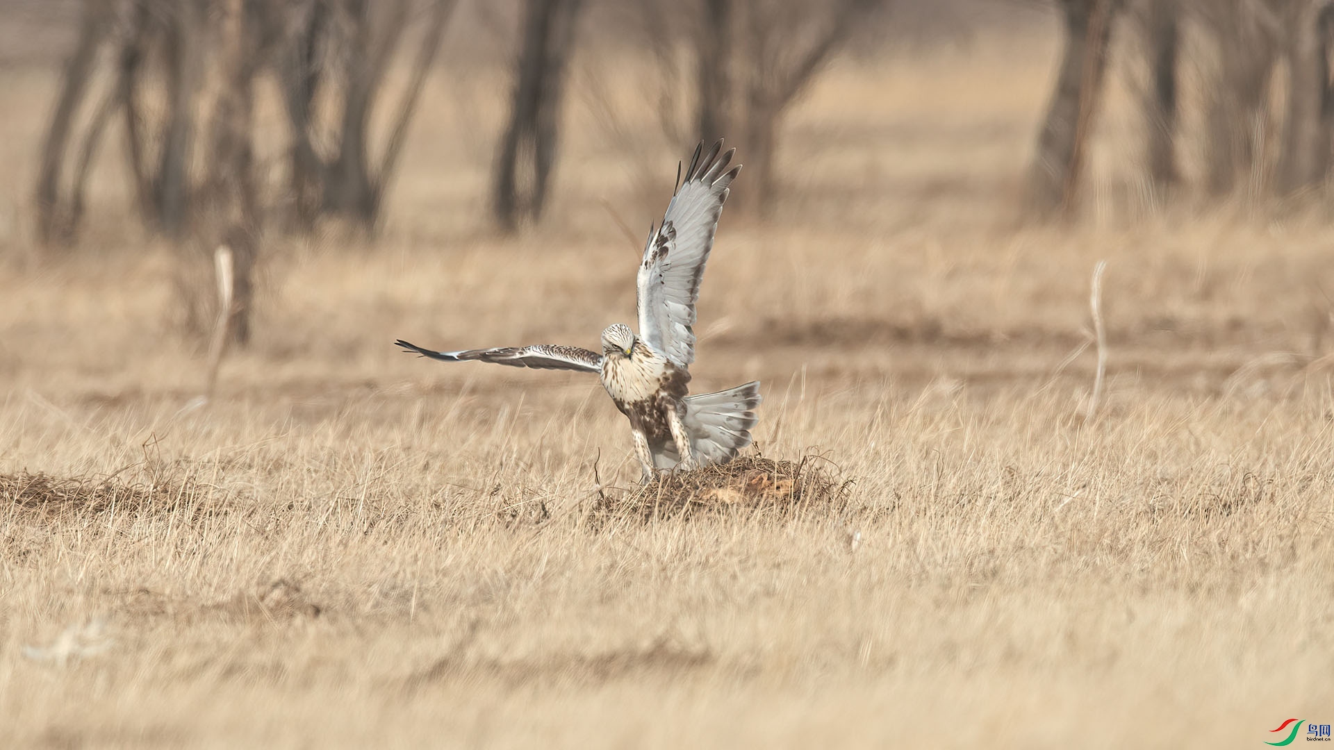 1DX_3652 ���� 2.jpg