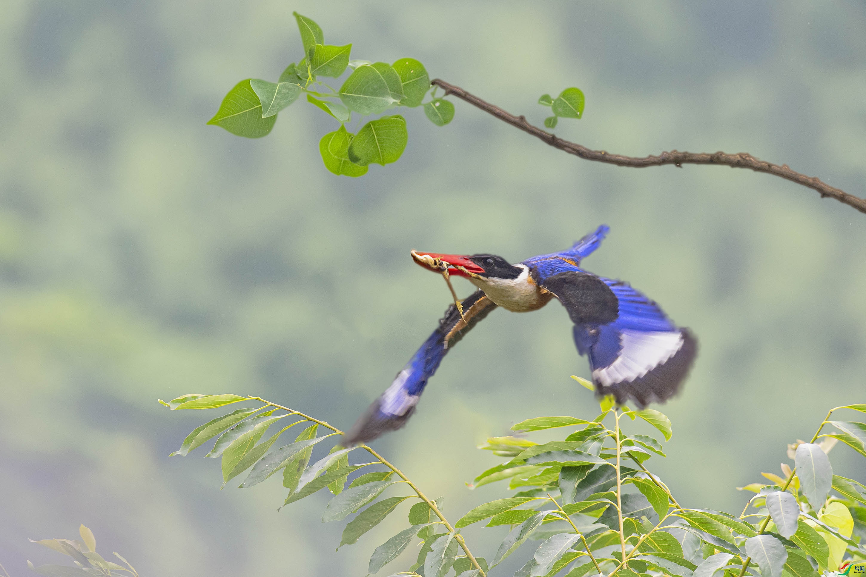 _DSC5019-1.jpg