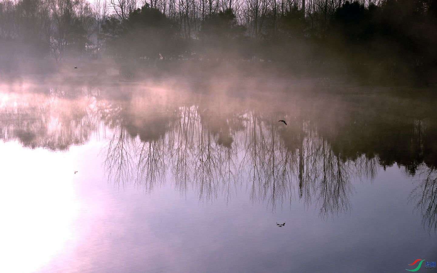 806 (43)_����.jpg