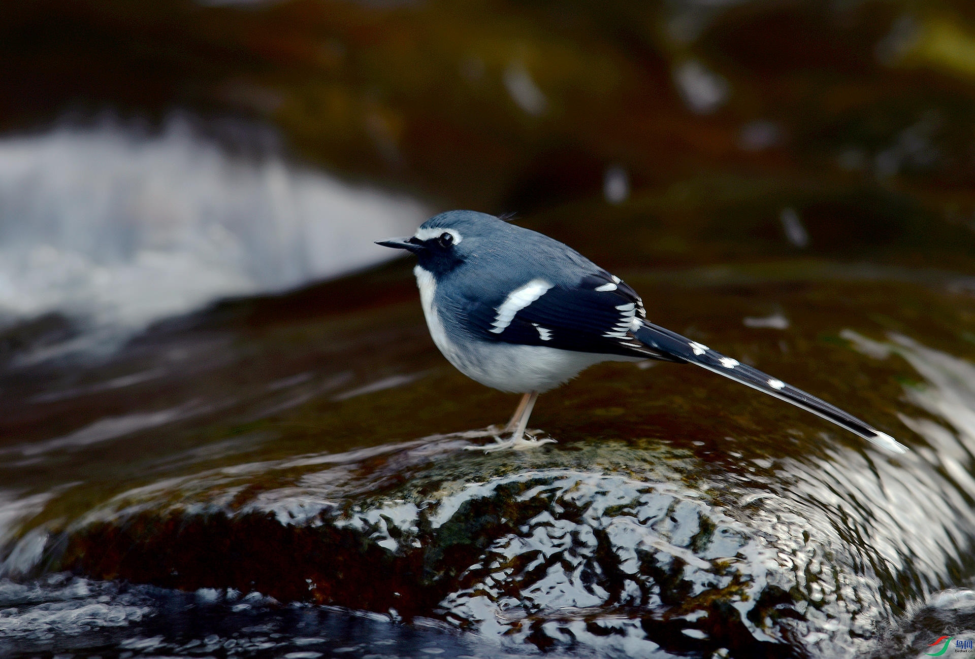 D8I_1160.jpg