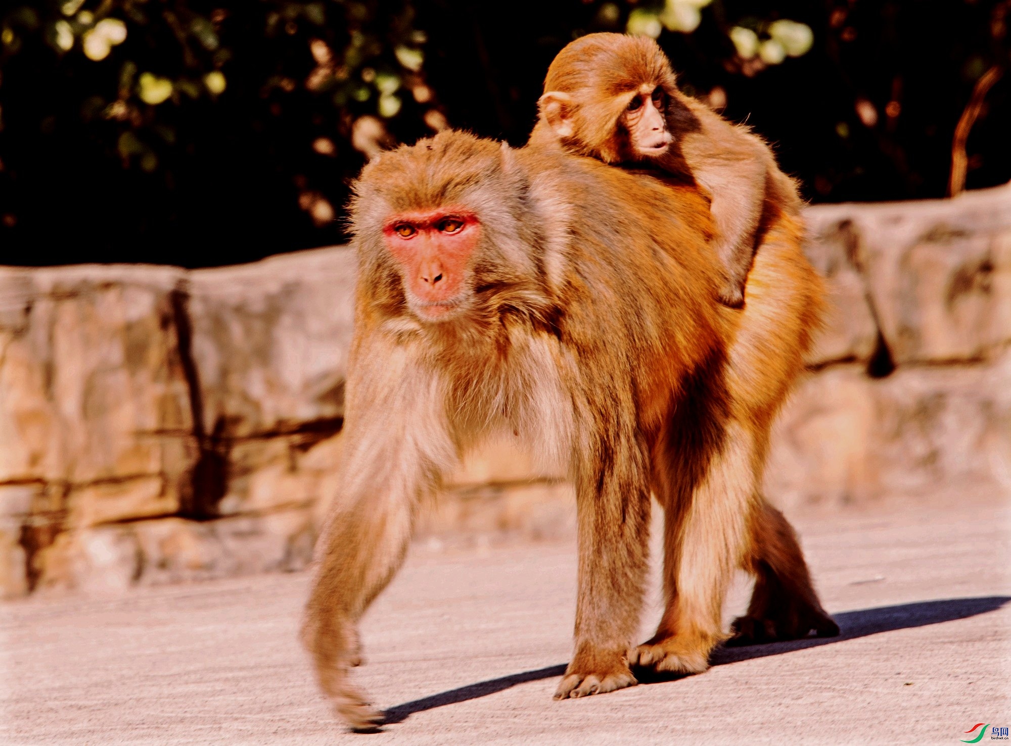 DSC_6153---_conew2.jpg