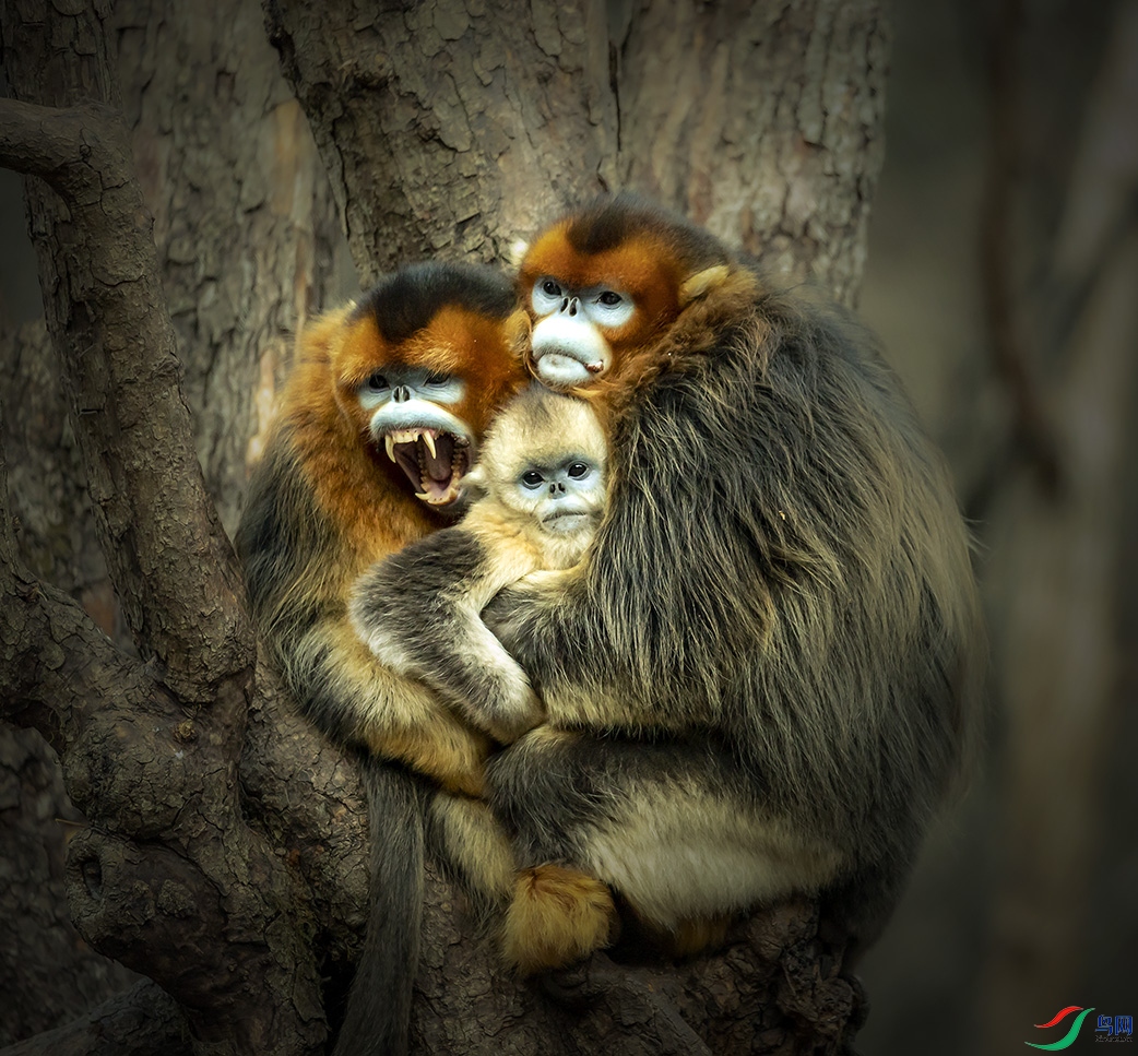 IMG_6970  �Ҹ���С��С���أ�����Ϊ�����Ʒ20211230.jpg