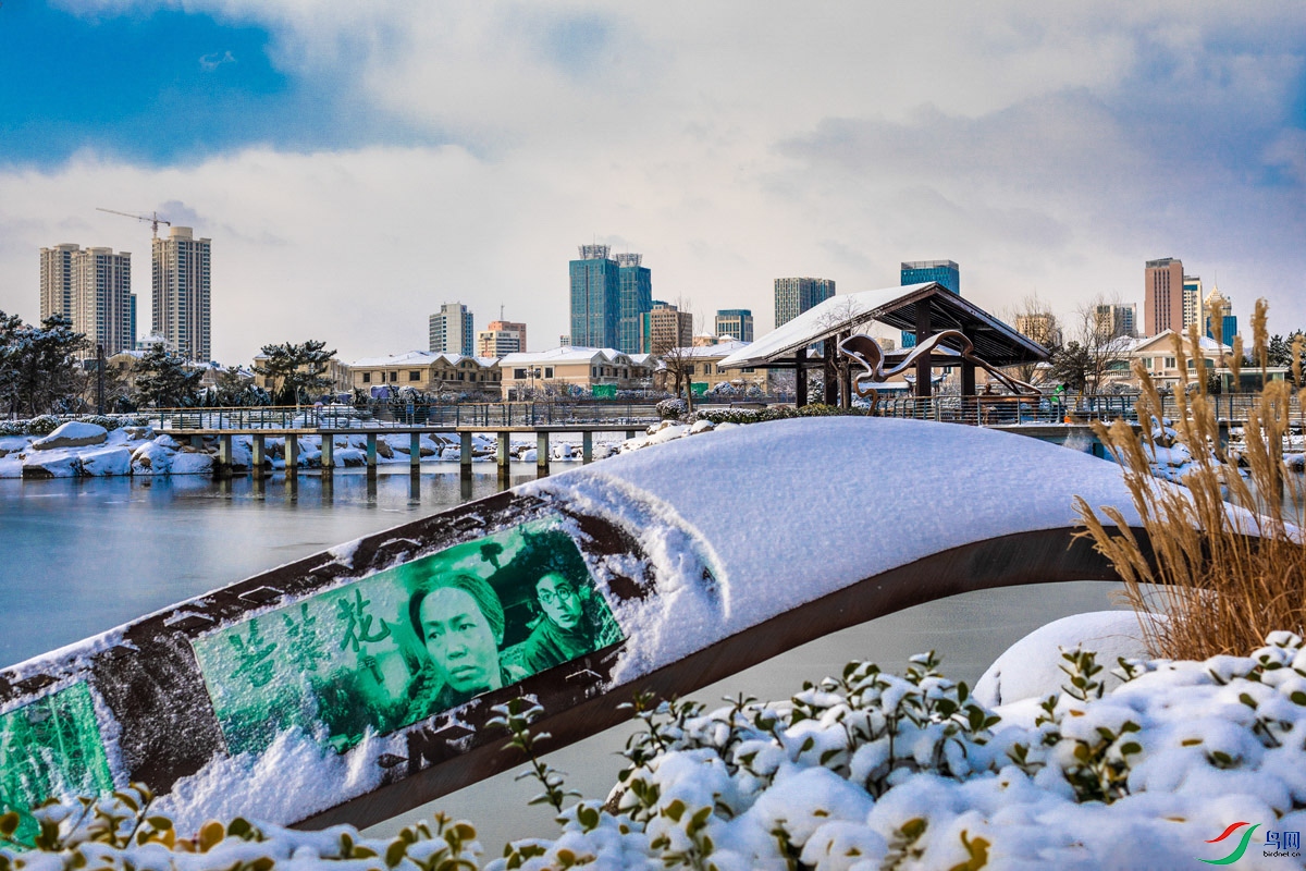 _MGL7413ѩ�صļ��� ����.jpg