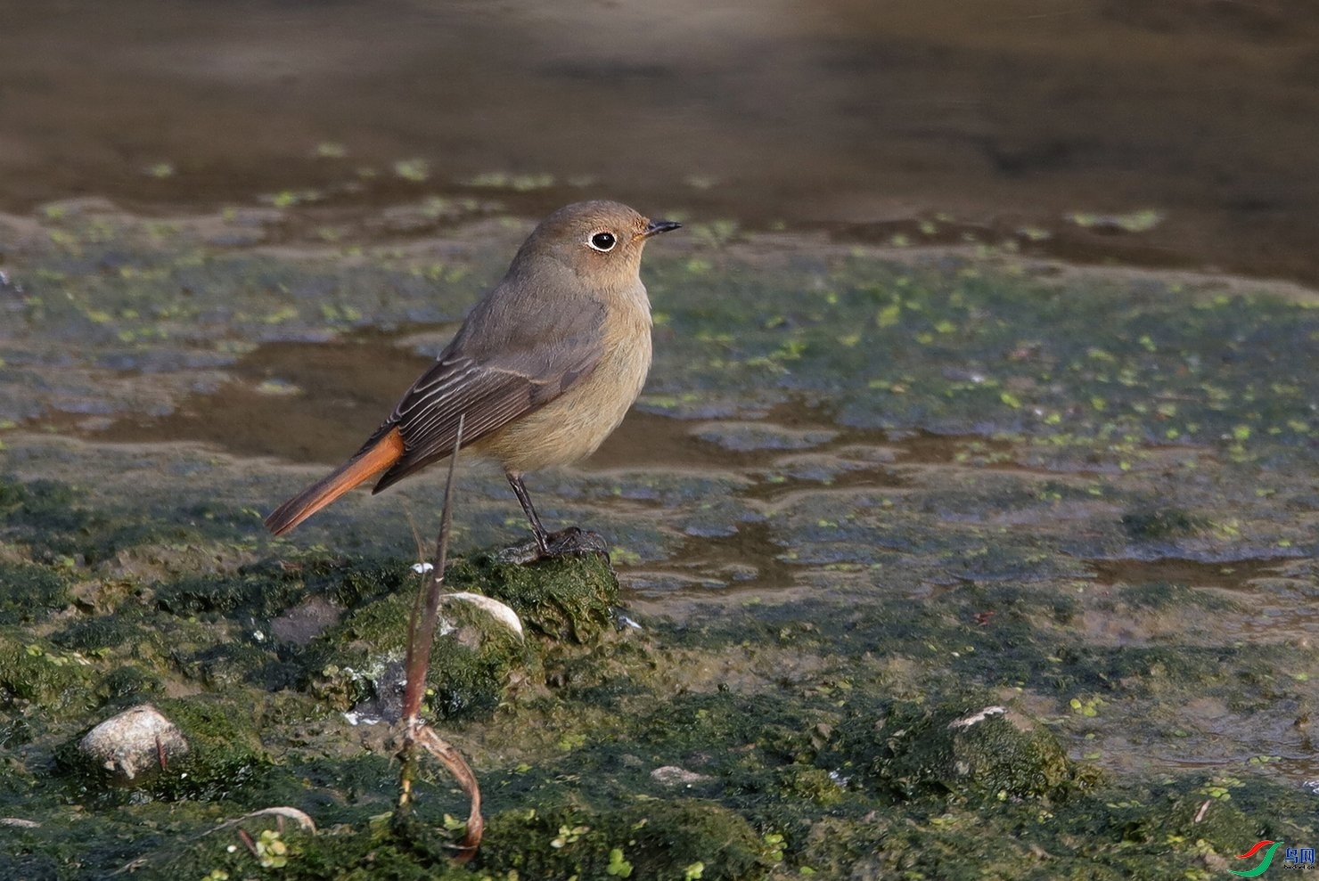 �����ҷ�  ��ʦ�������Ĵ�ʡ������������.jpg