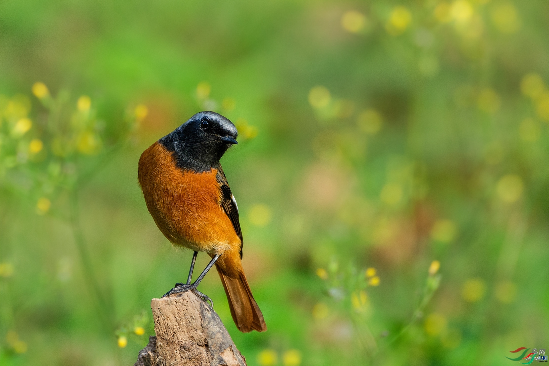 lhx666  ��ʦ�����ڽ���ʡ������1.jpg