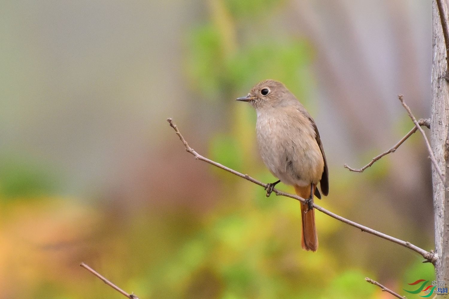 ���ʮ����  ��ʦ������ɽ��ʡ������.jpg