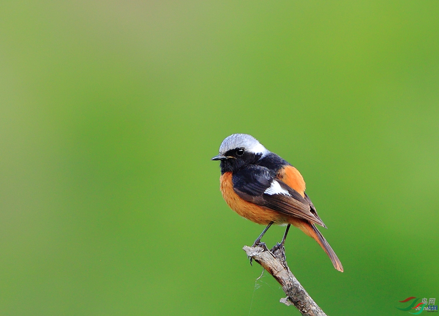 �ǲ�  ��ʦ�����ںӱ�ʡʯ��ׯ��ƽɽ��.jpg