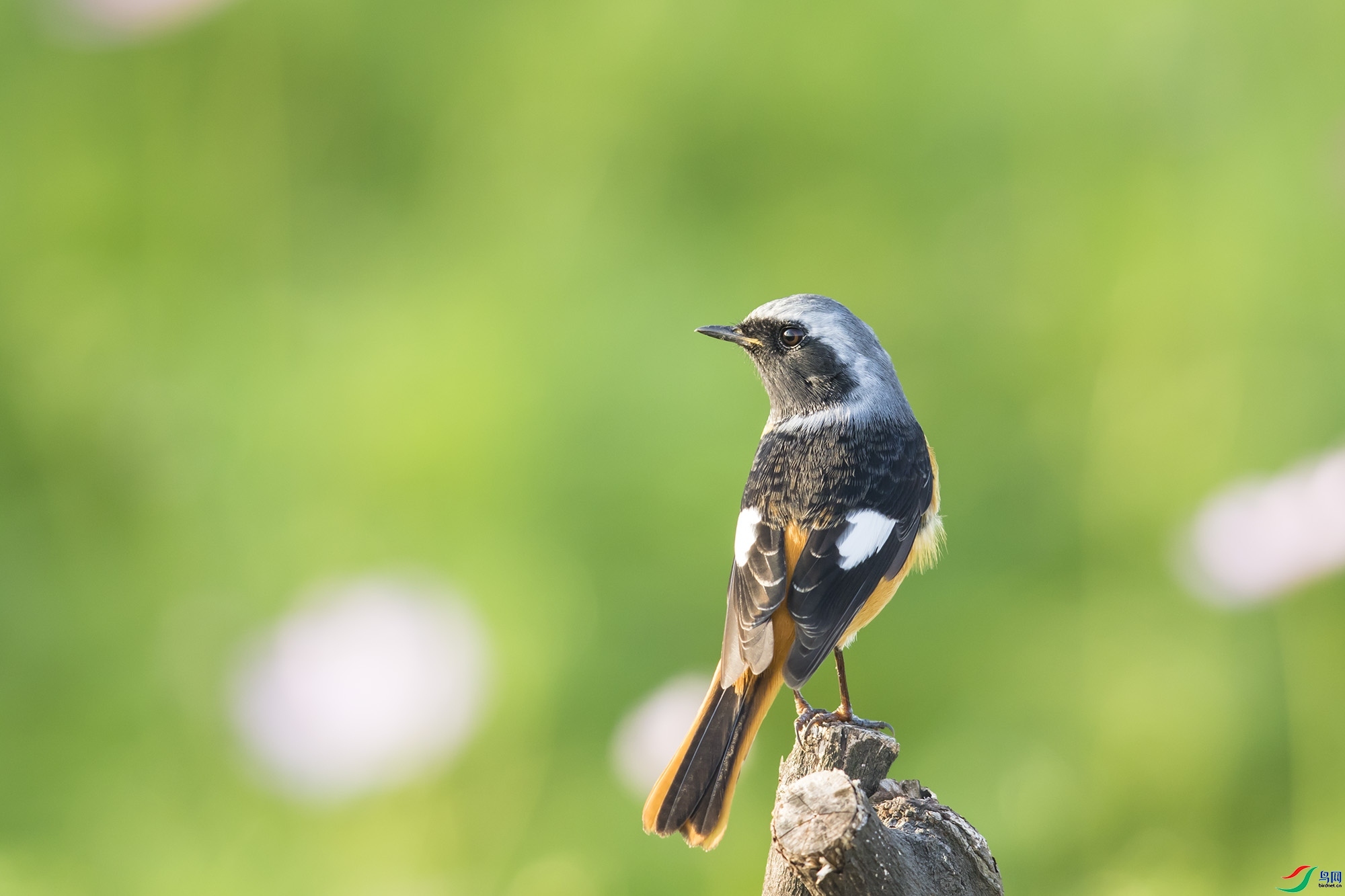 ɽɽɽ  ��ʦ�����ڹ㶫ʡ������.jpg