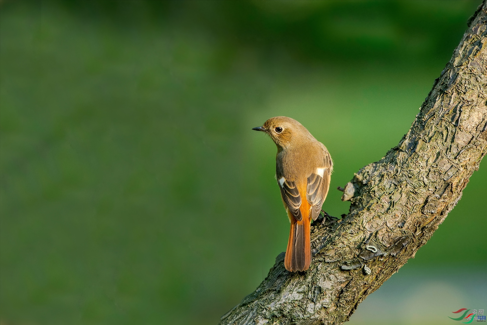 lhx666  ��ʦ�����ڽ���ʡ������.jpg