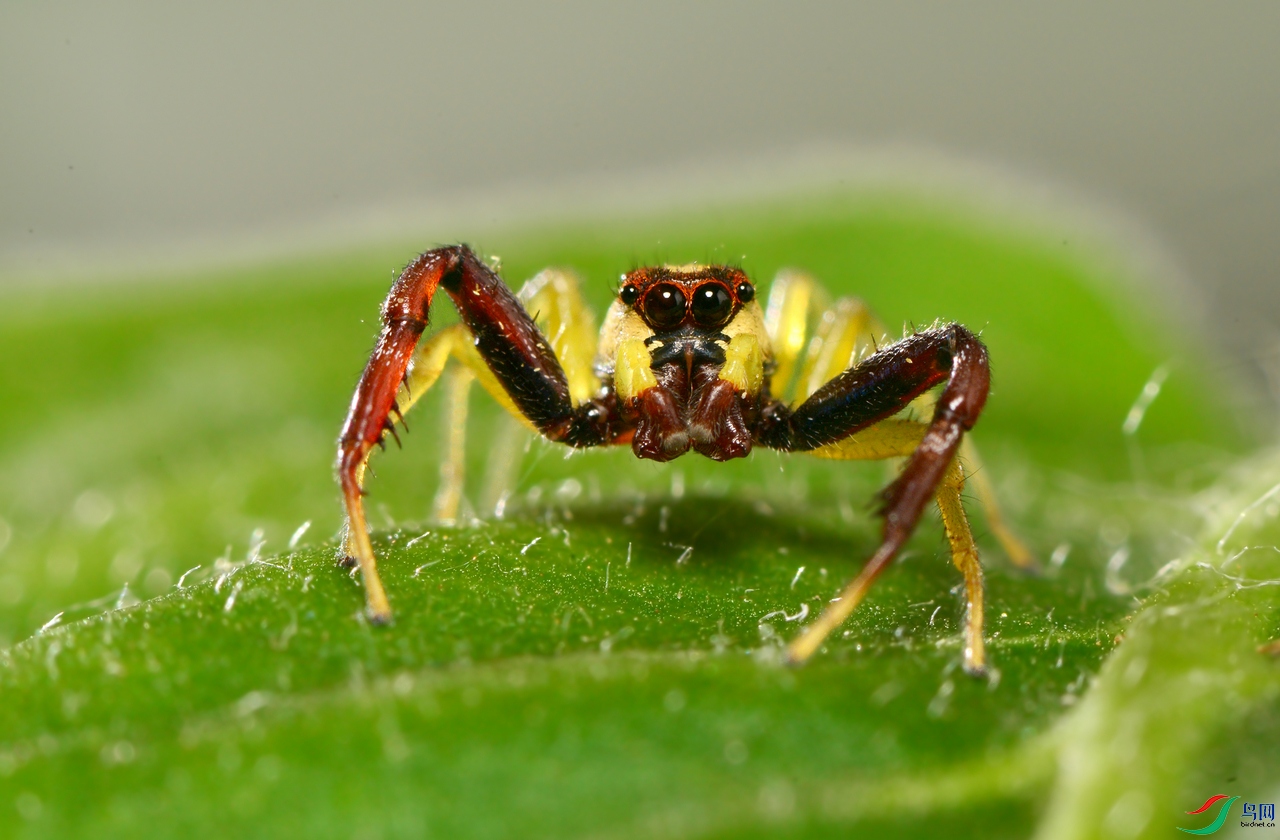 DSC_4752 ����.jpg