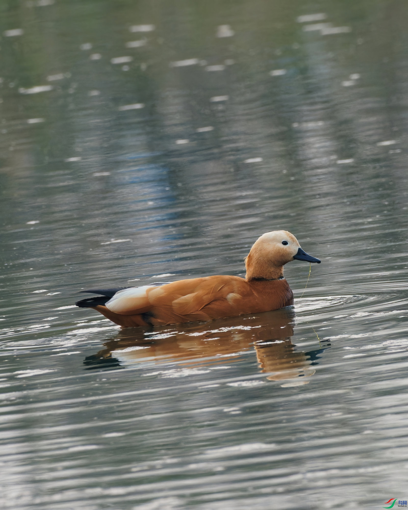 PC310126_DxO-d2.jpg