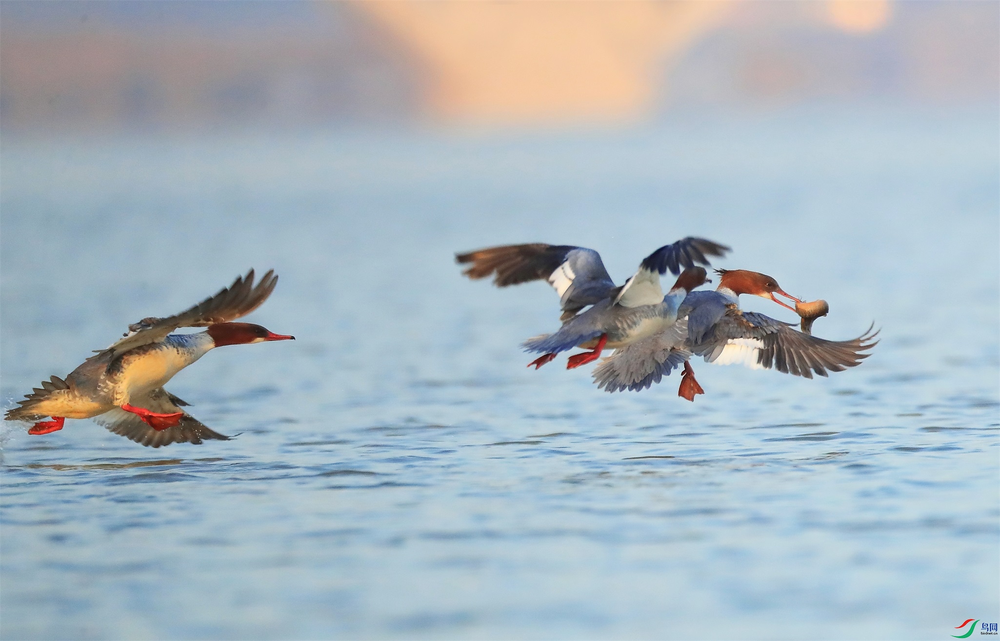 4 - ����.JPG