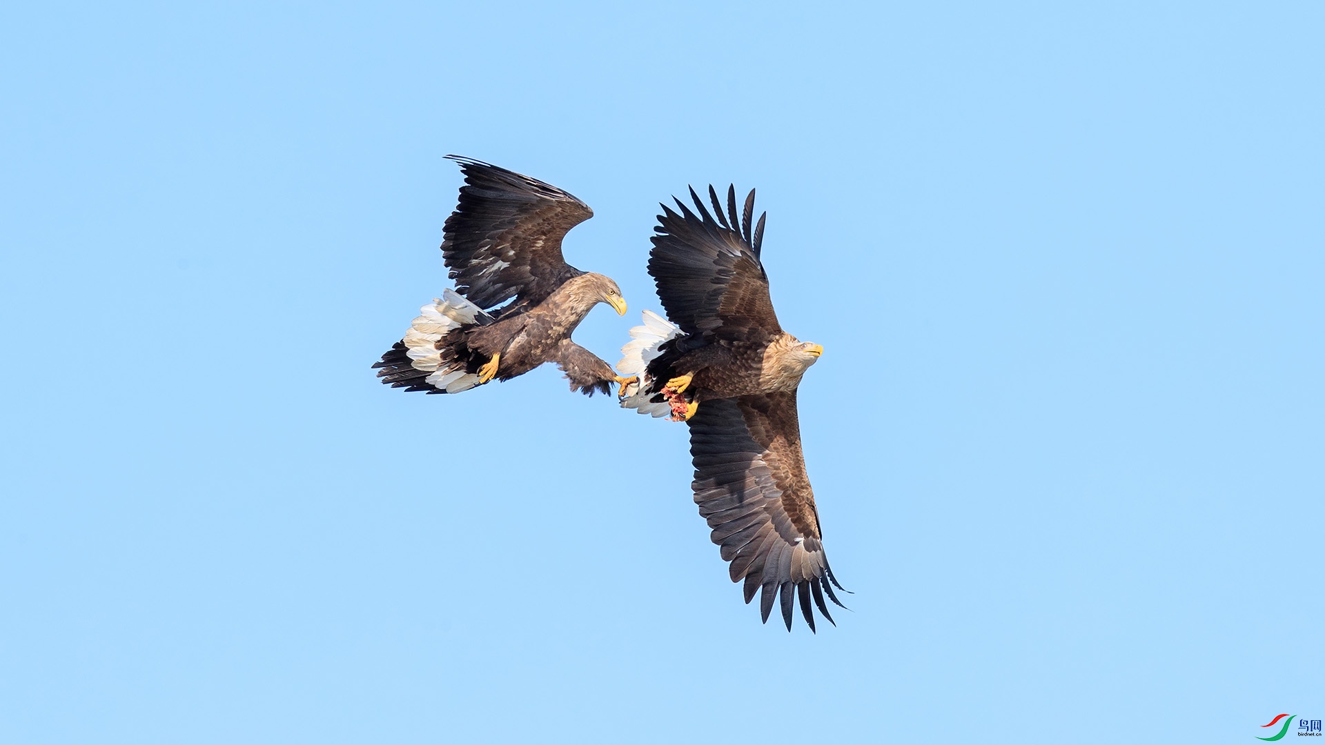 1DX_3581 ����.jpg