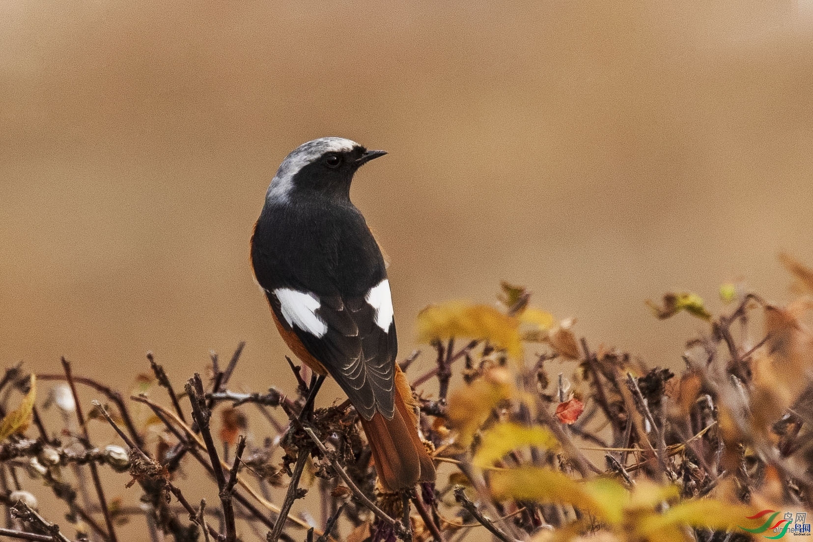 ��������  ��ʦ�����ڼ���ʡ��ԭ��.jpg