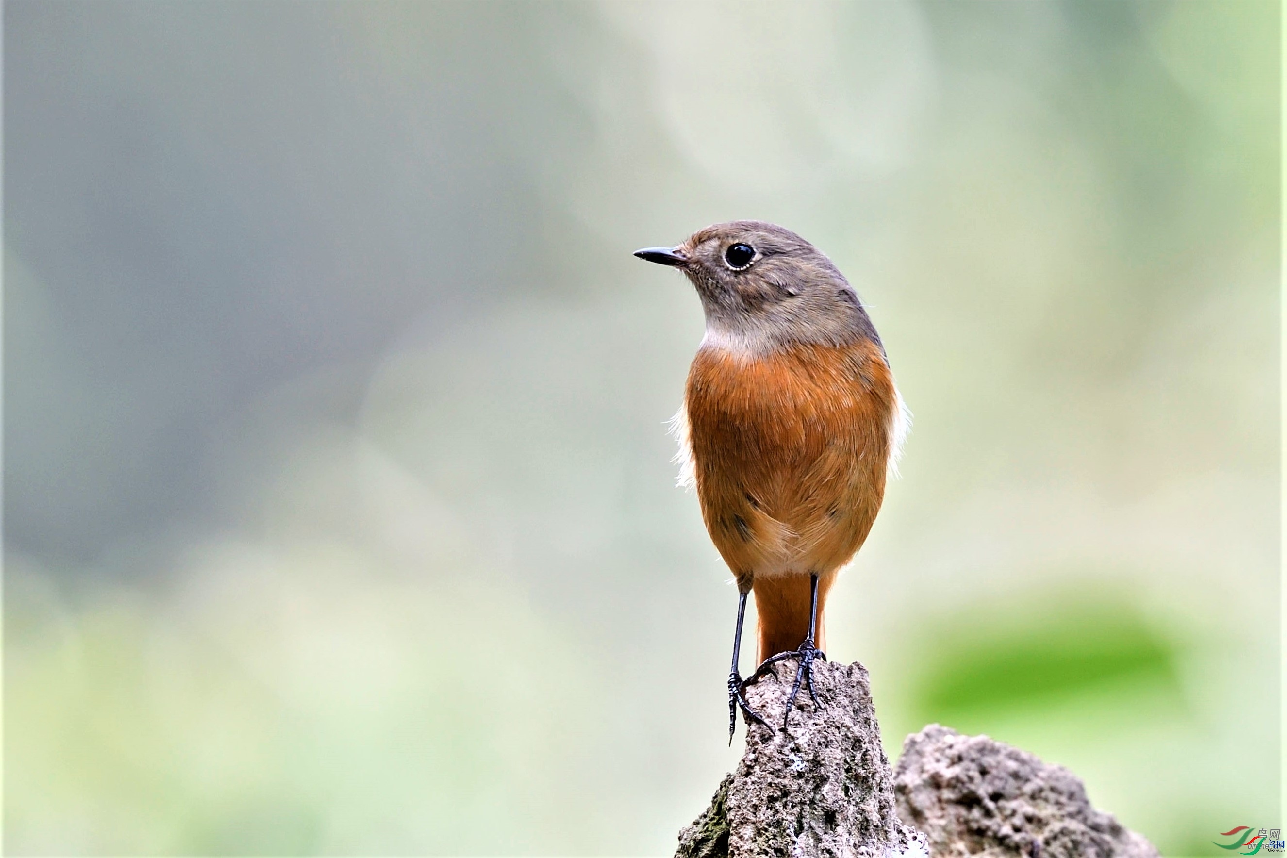 ����  ��ʦ����.jpg