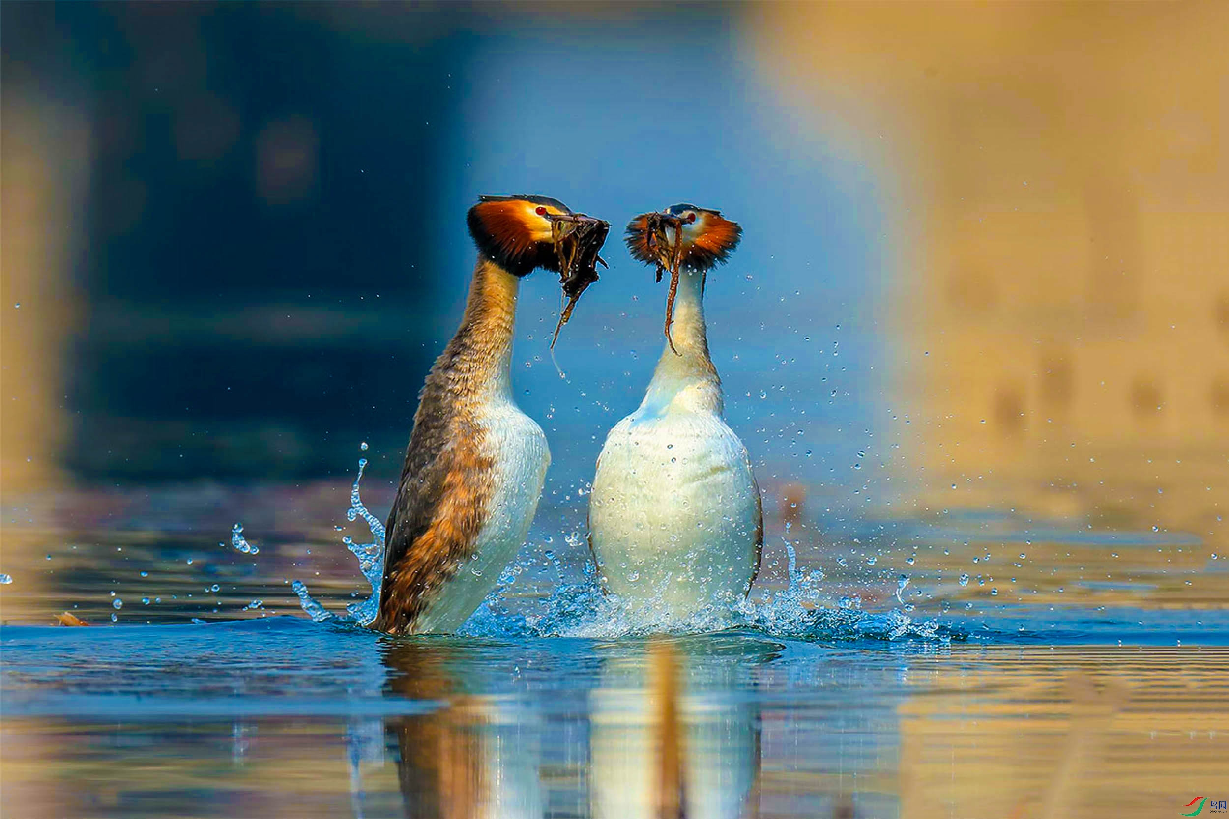 ��ͷ�G�f (12).jpg