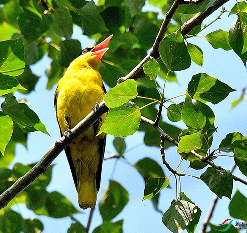 psb (88)_00001-p-3.jpg