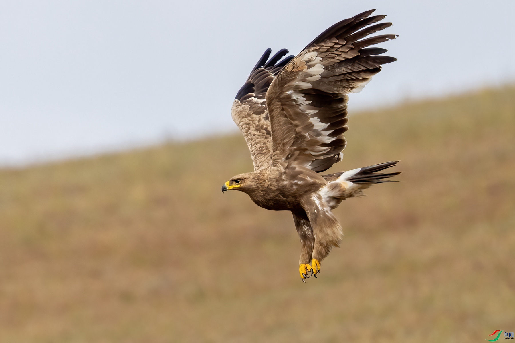 274A2160 ����_����.jpg