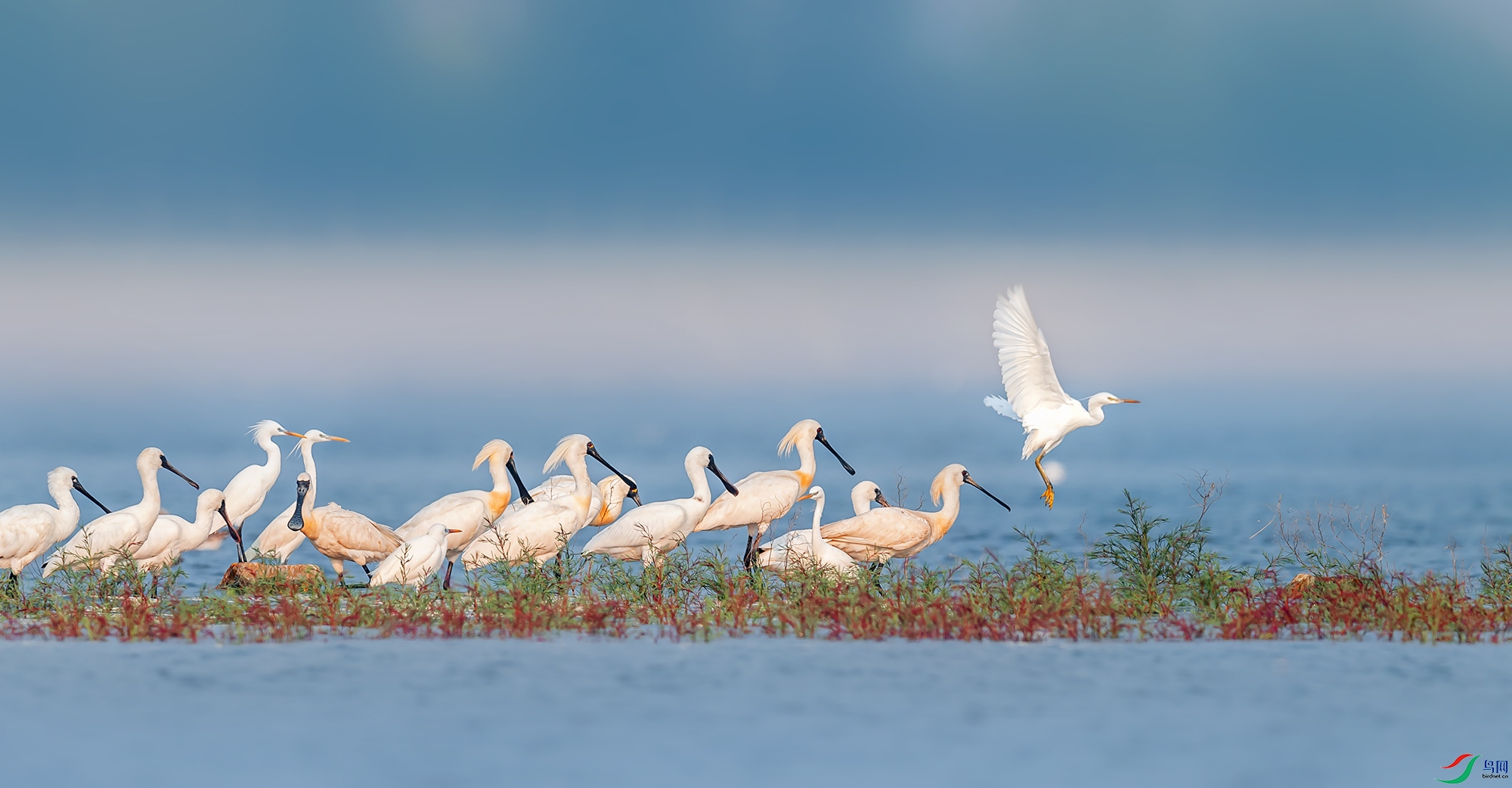 �������������